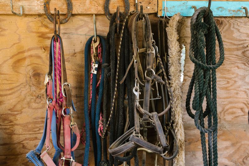 Secure Chains, Cords, and Hoses