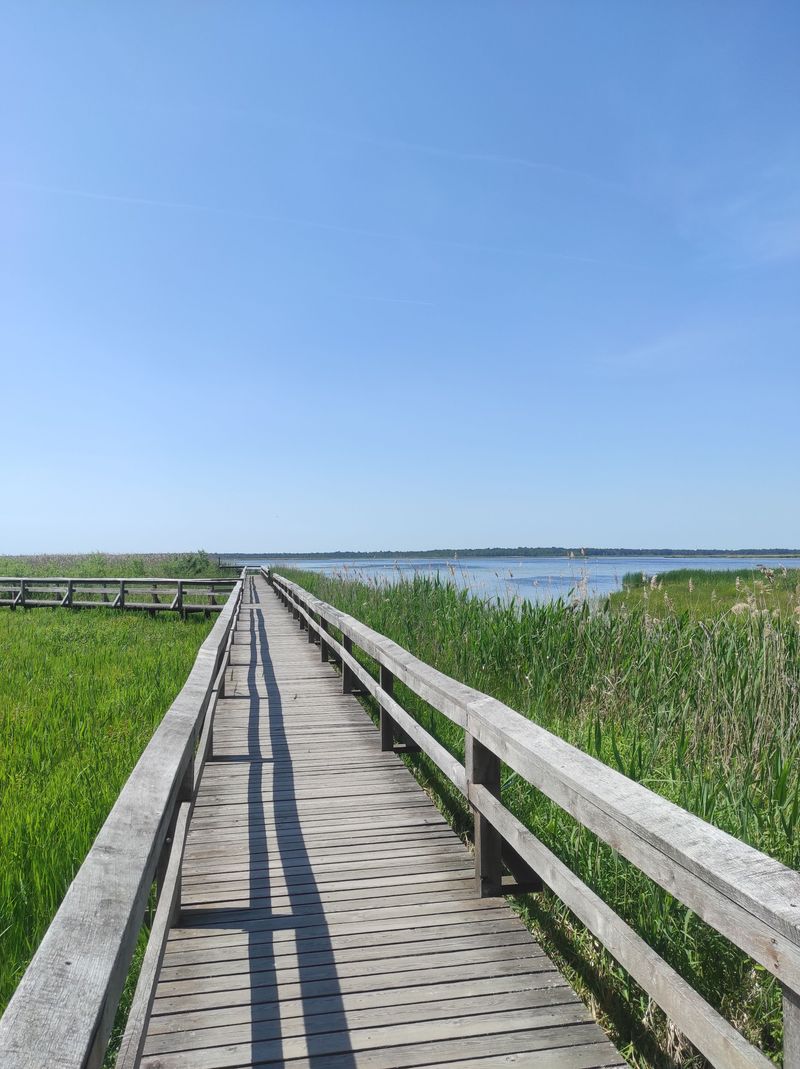 Choose Firmer Shoreline Routes