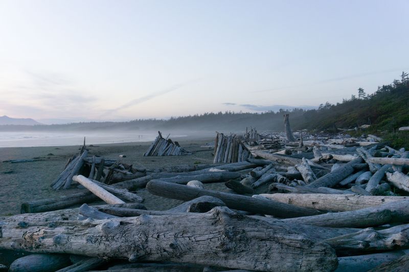 Driftwood Can Hide Unstable Spots