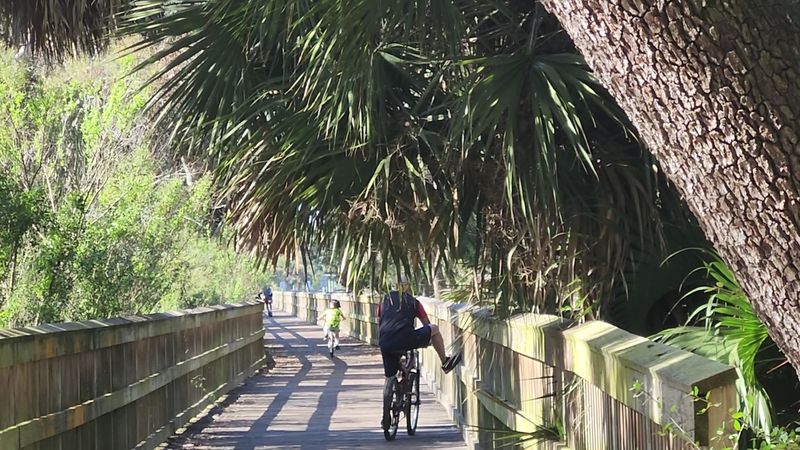 Island Shade at Little Talbot Island State Park