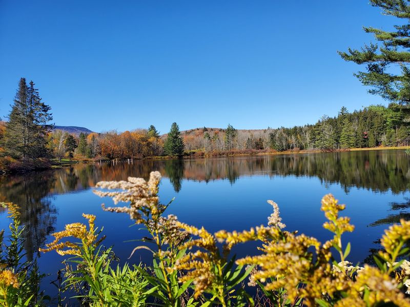 Loop the Hapgood Pond Nature Trail