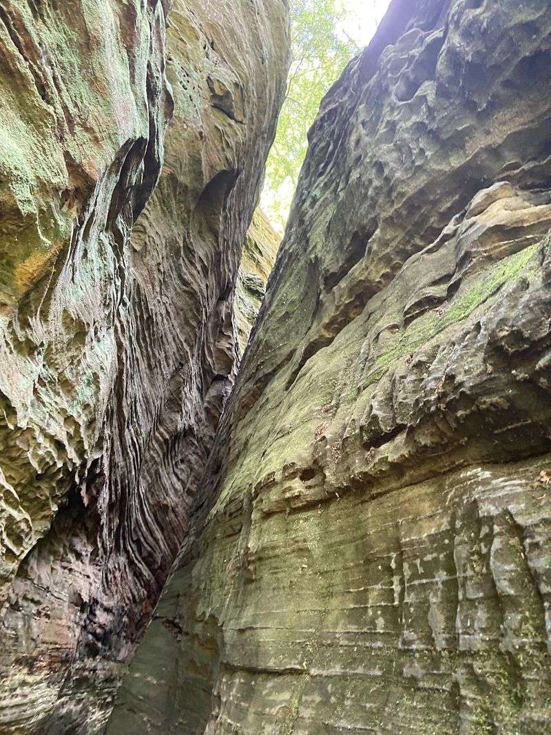 Cantwell Cliffs, Logan