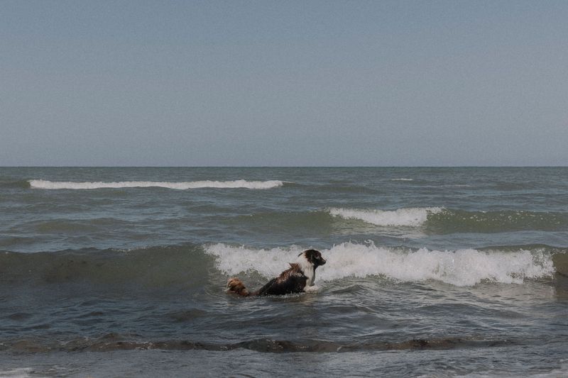Cold Water Can Mask Early Trouble