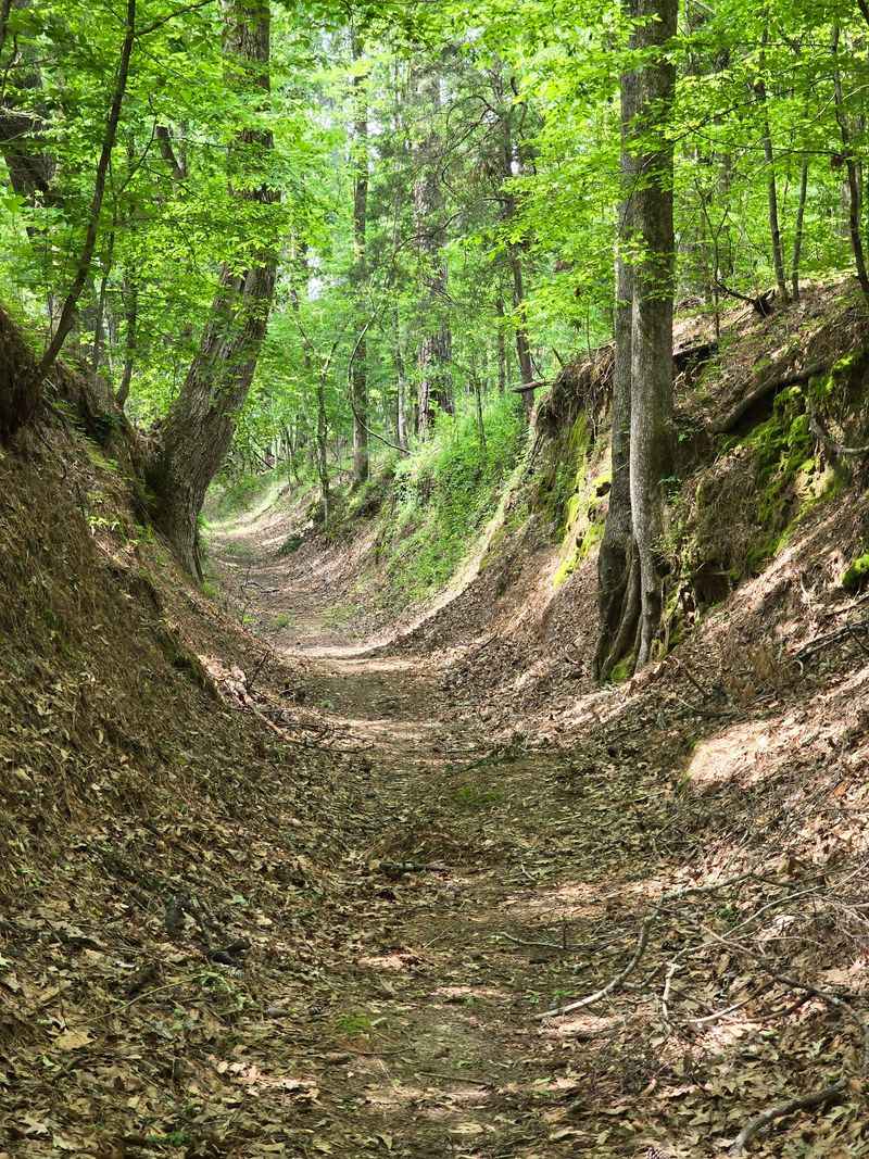 Potkopinu Section, near Fayette