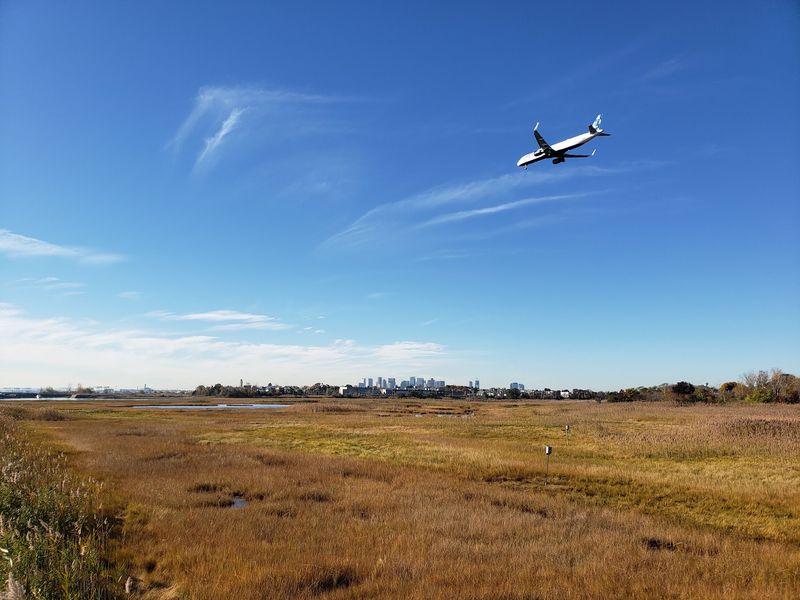Belle Isle Marsh Reservation, East Boston