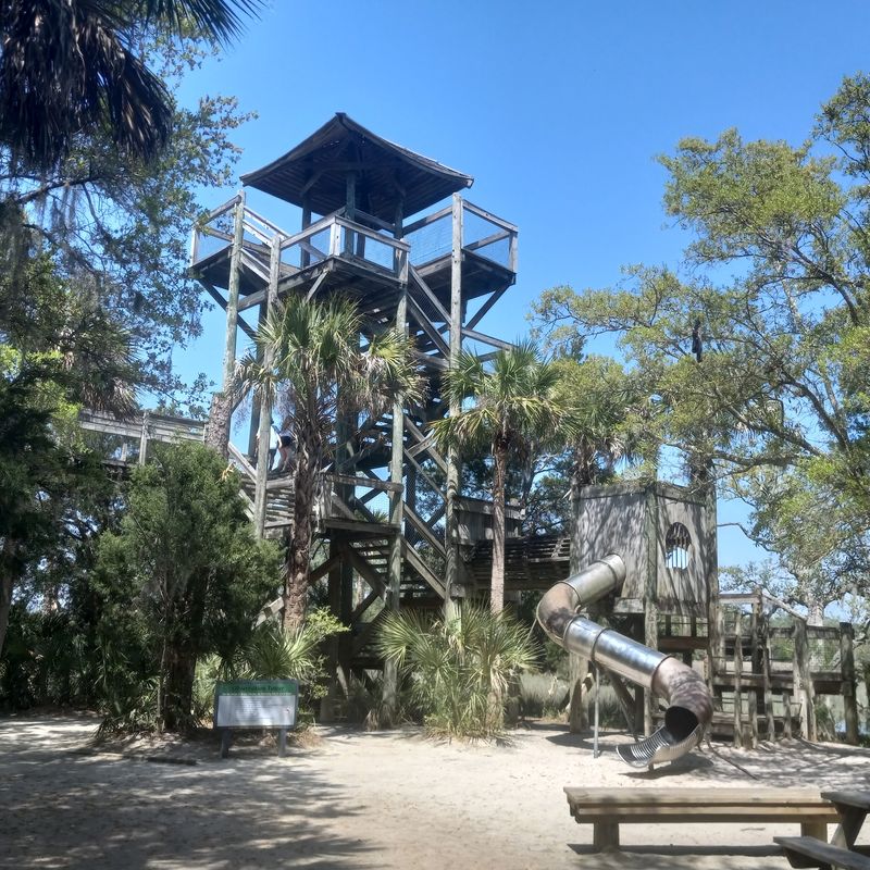 Palmetto Islands County Park Boardwalks, Mount Pleasant