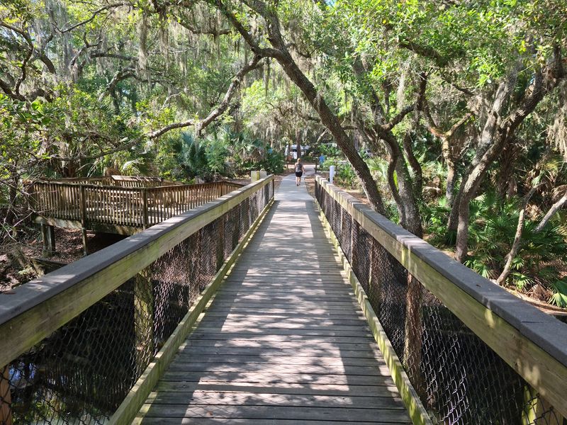 Scrub-Jay Spotting at Oscar Scherer State Park