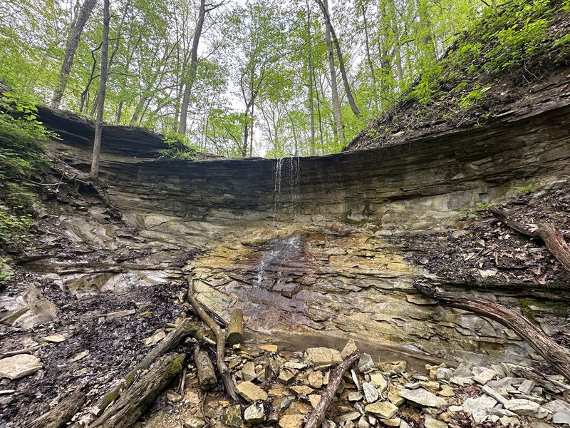 Salamonie River State Forest Yellow Trail, Waterfall View