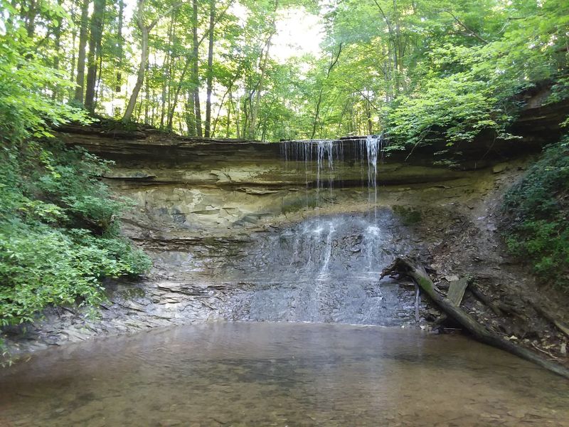 Salamonie River State Forest Waterfall Path