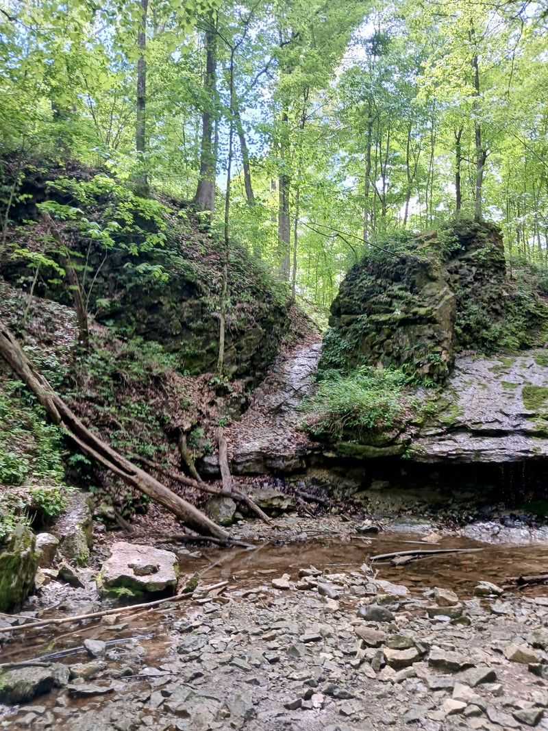 Salamonie River State Forest Blue Trail, Rocky Gorges and Waterfalls