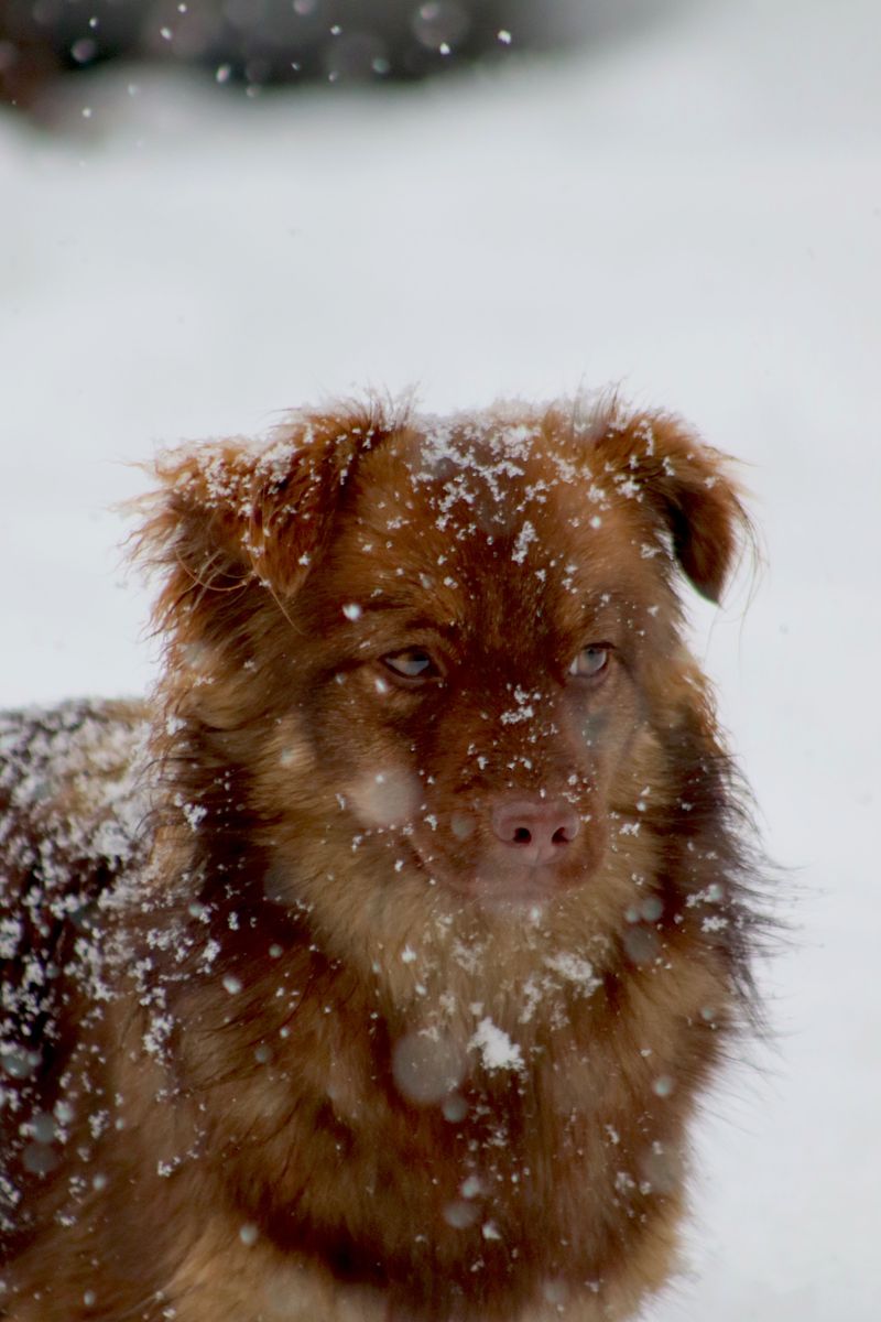 Dry, Flaky Skin Through The Cold Months