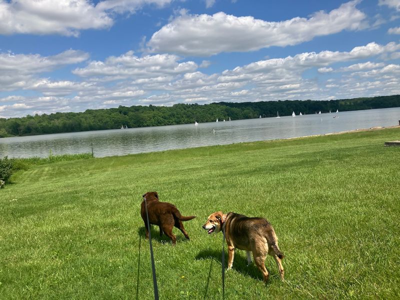 Hueston Woods State Park, College Corner