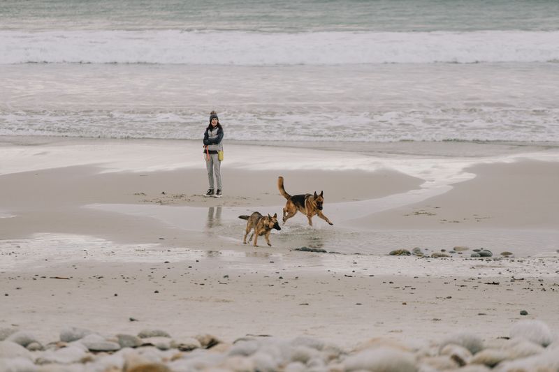 Sandy Hook Ocean Side Runs September To March