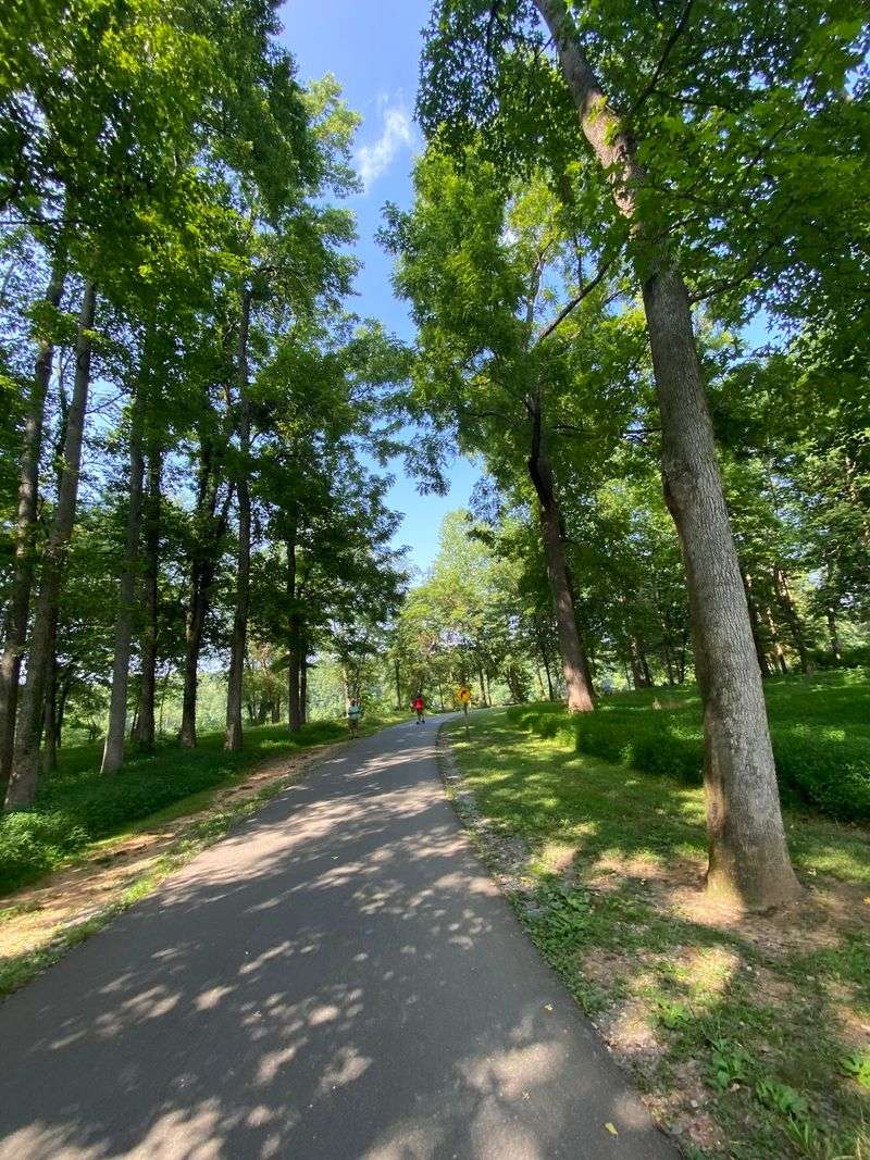 Riverwalk Trail, Rock Hill