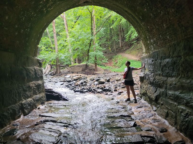 Forest Glen and Sawmill Branch Loop