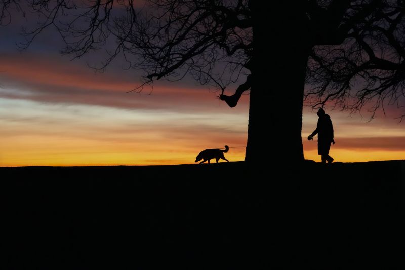 Dawn And Dusk Change The Odds