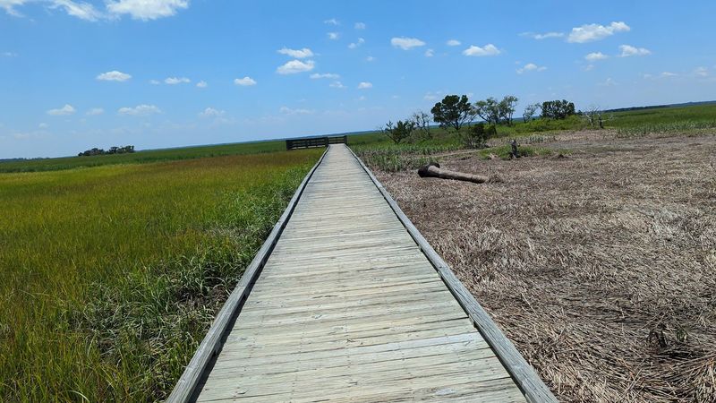 Hunting Island State Park Marsh Boardwalks, St. Helena Island