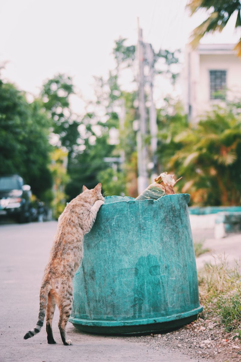 The Open Trash Can Temptation