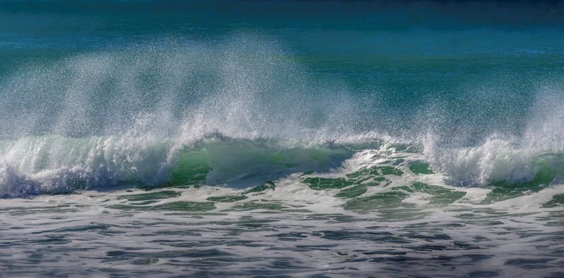 Red Tide Toxins Can Travel Through The Air