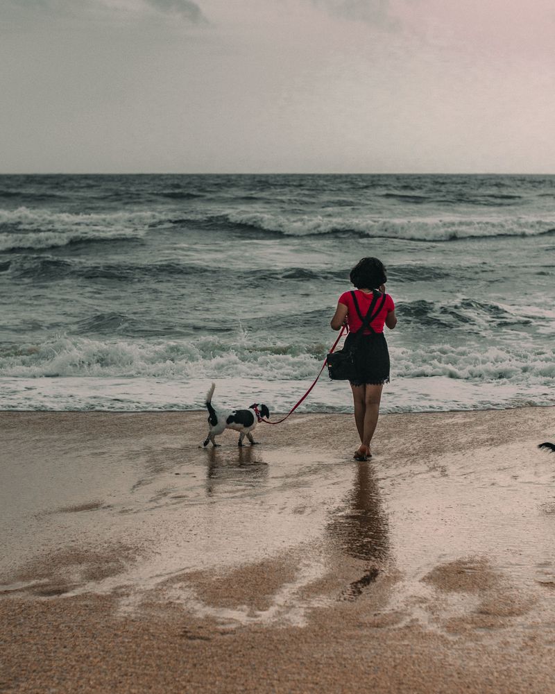 Summer Beach Restrictions Are Often Stricter