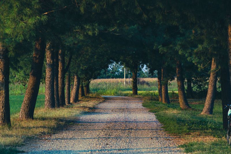 Share The Best Places To Walk
