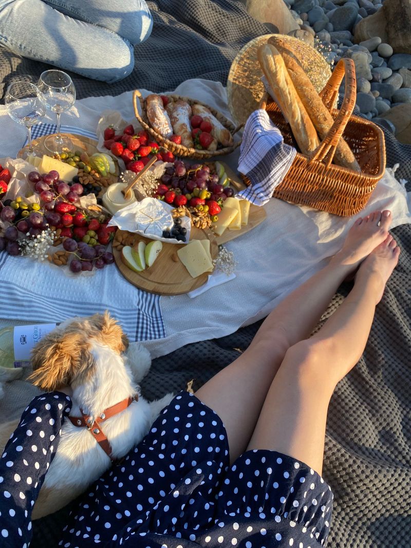 Leaving Food And Picnic Items Alone