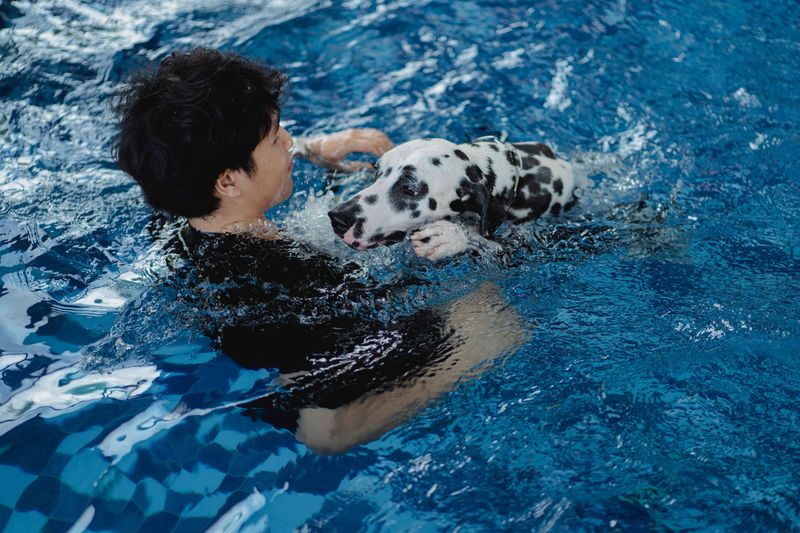Swimming Is Not Always An Easy Alternative