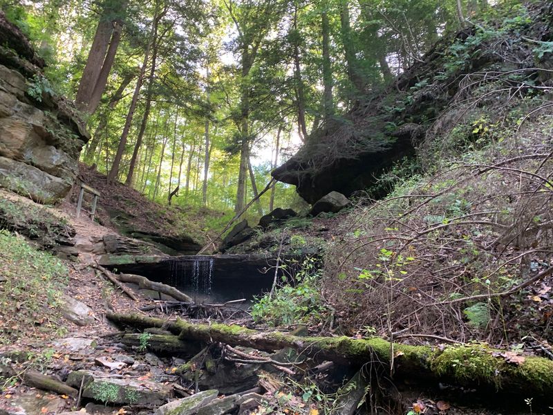 Shades State Park Trail 4, Frisz Ravine