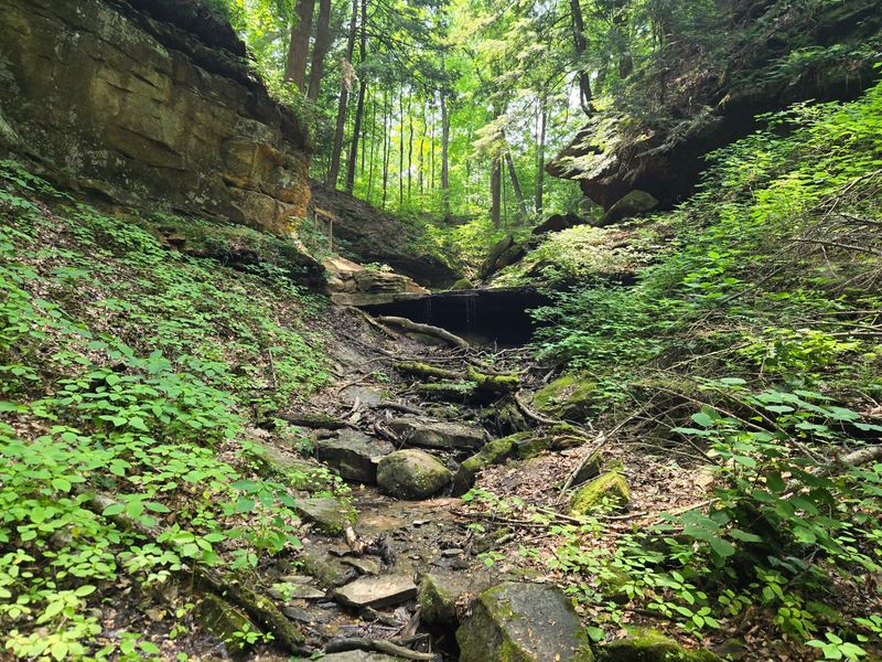 Shades State Park Trail 6, Red Fox Ravine