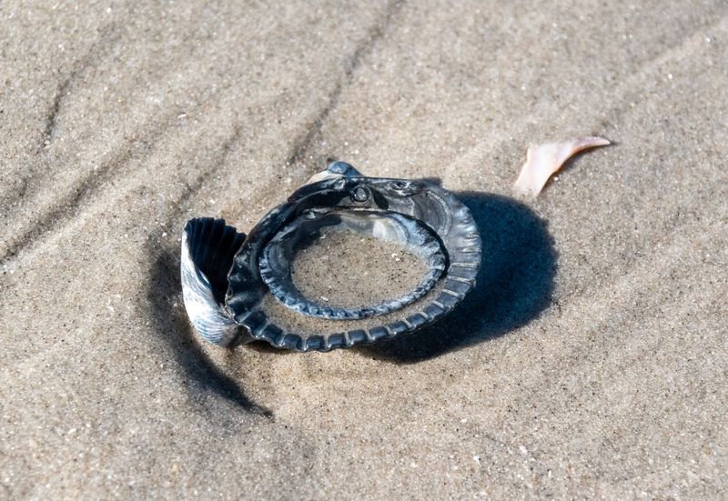 Broken Glass And Beach Litter Can Cause Injuries