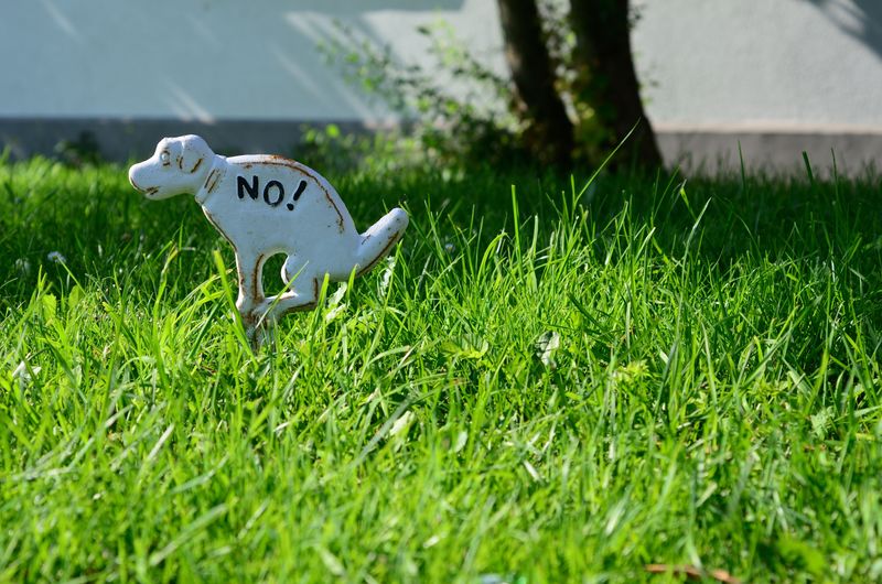 Keep Paws Off Freshly Treated Grass