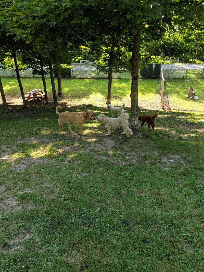 Egg Harbor and Harbor Hounds Dog Park