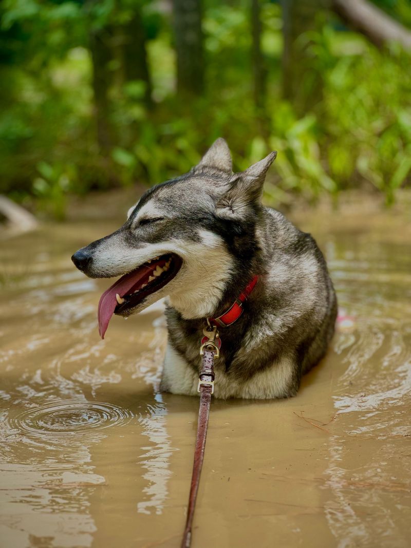 Humidity Quietly Raises the Difficulty