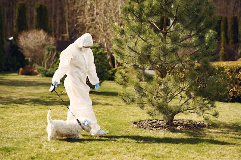 Are the Yard or Grounds Treated With Chemicals?