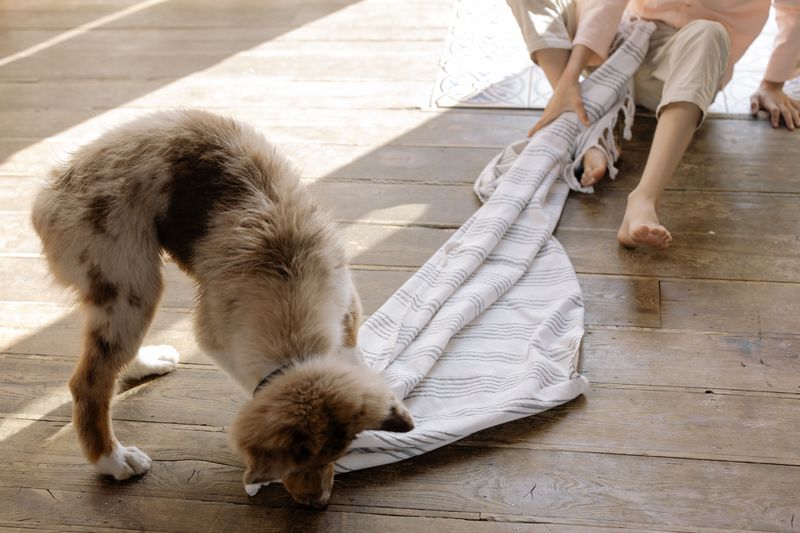 Indoor Games For Stormy Afternoons