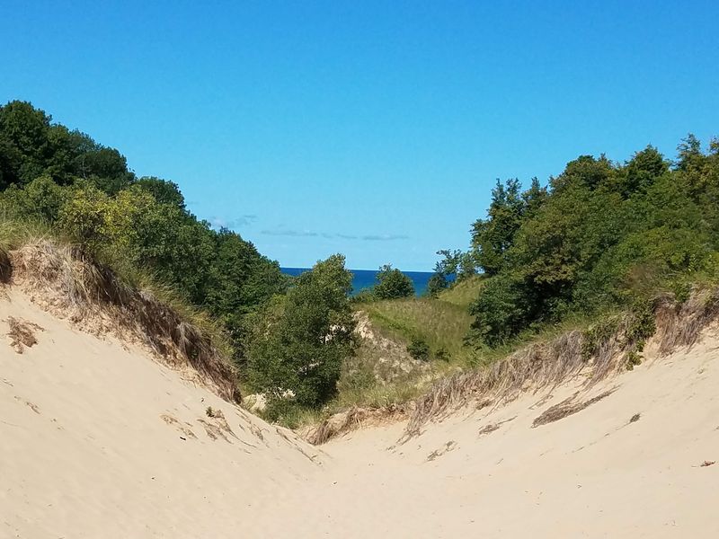 Grand Mere State Park, Stevensville