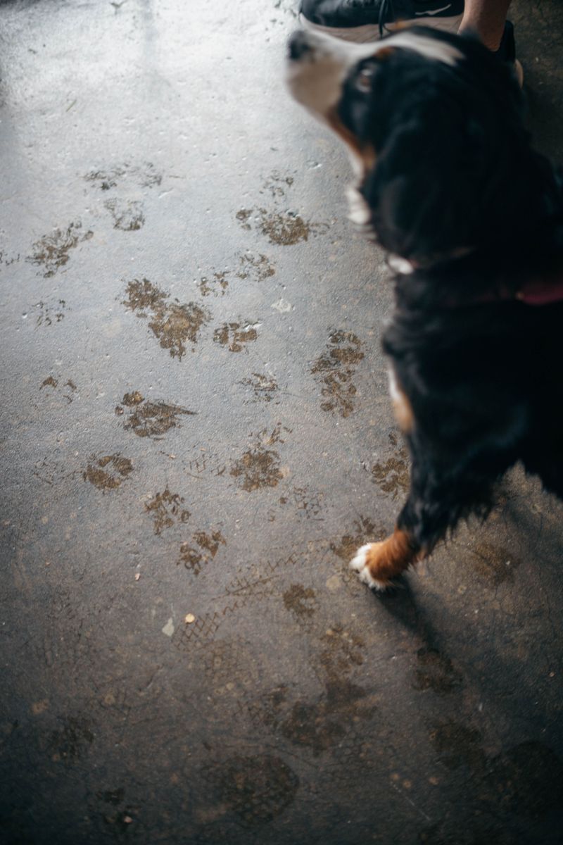 Mud Can Become A Constant Cleanup Cost
