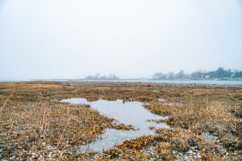 Marsh Pools May Look Like Easy Crossings