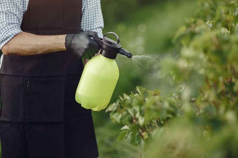 Fungicides