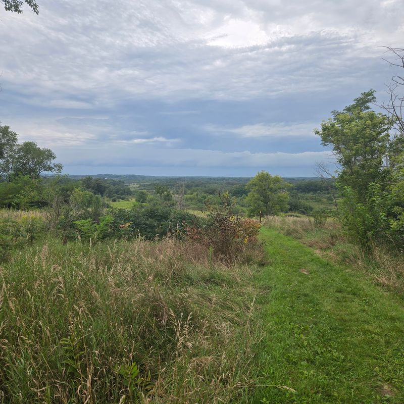 Kettle Moraine Low Prairie