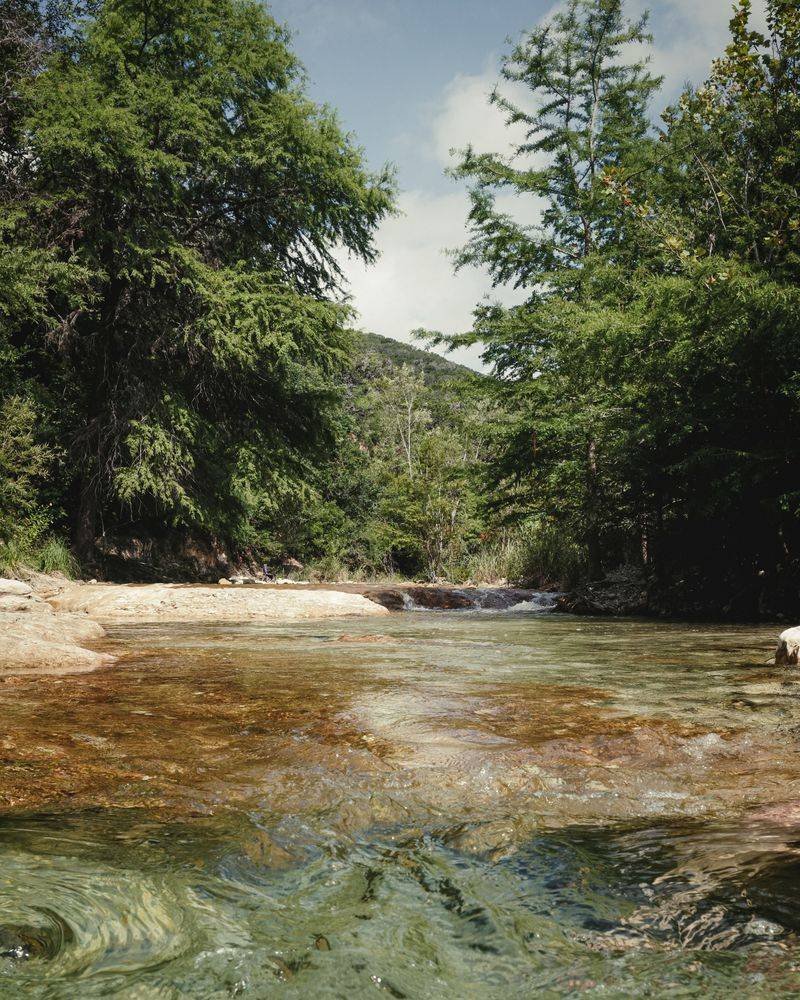 Blue-Green Algae Changes How You Pick Swim Spots