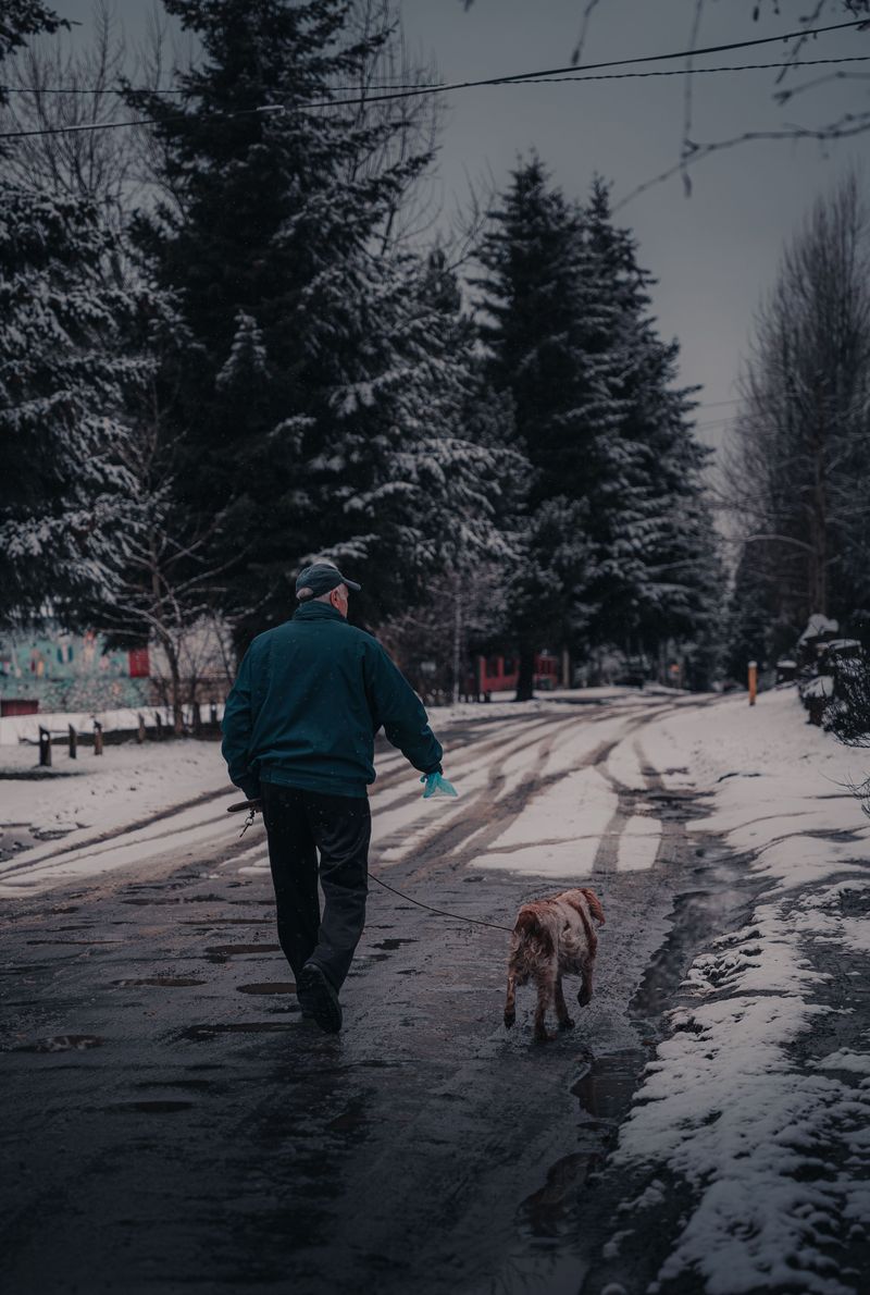 Road Salt Deserves Your Attention