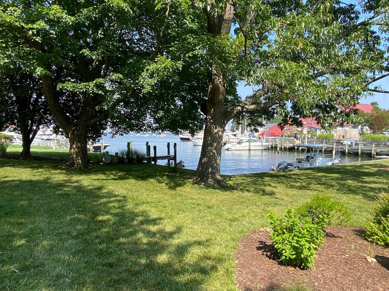Muskrat Park, St. Michaels