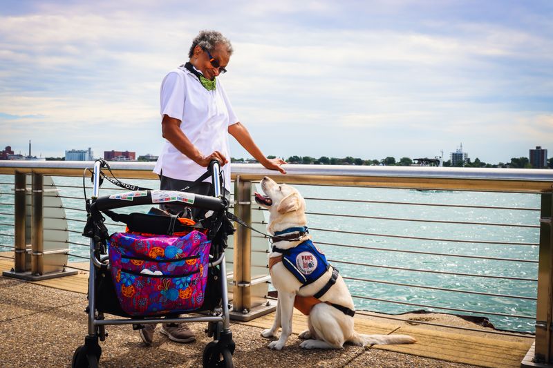 Service Dogs And The Fee Exemption