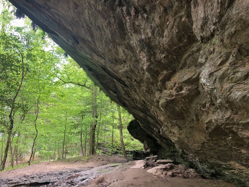 Raven Rock State Park, Lillington