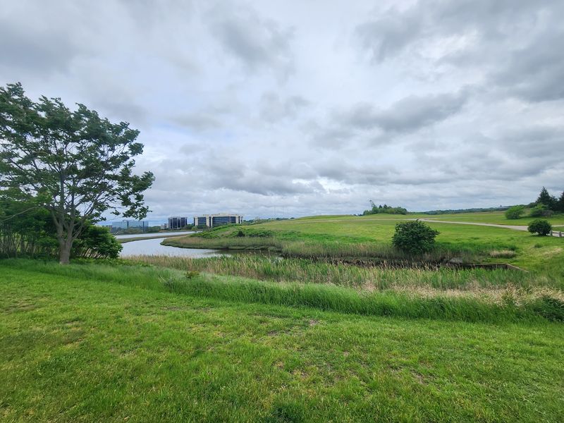 Pope John Paul II Park Reservation, Dorchester