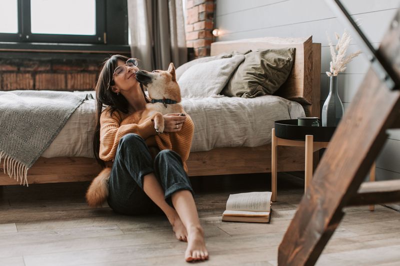 Monthly Pet Rent That Never Goes Away