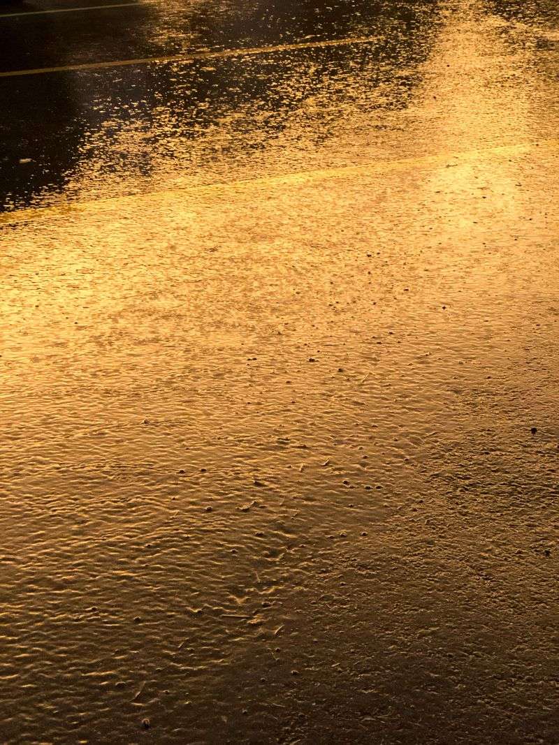 Wet Pavement Can Still Be Too Hot