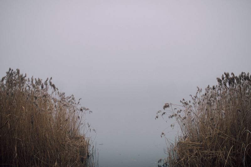 Be Especially Careful Near Quiet Shorelines
