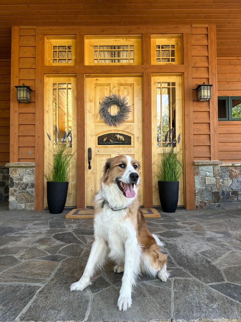 Settling When Guests Arrive